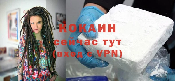гашик Тутаев